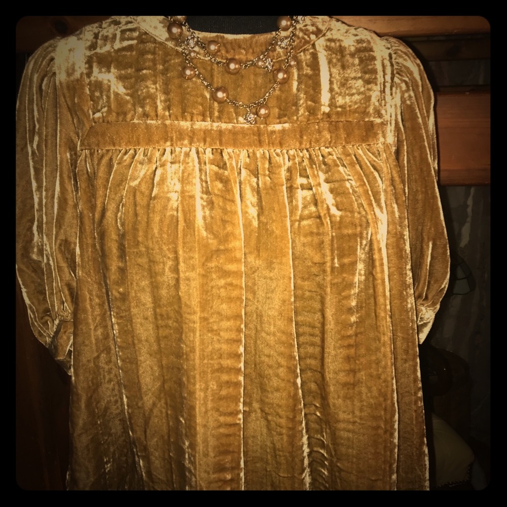 NWOT! Gold Velvet top